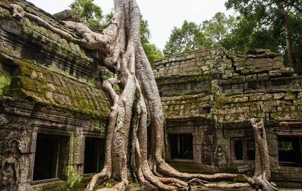 Comment organiser un séjour pour découvrir les temples Angkor au Cambodge?