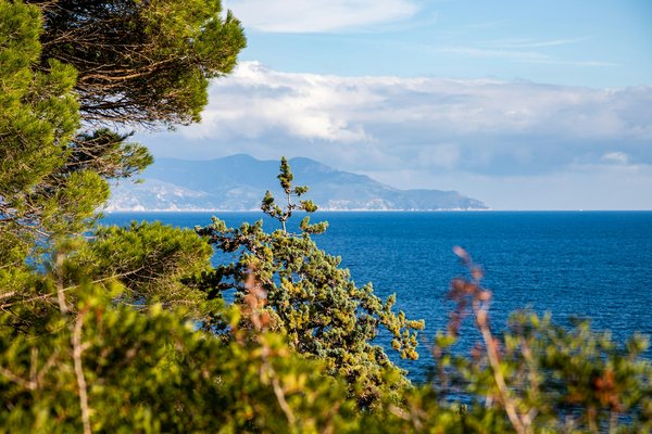Quels sont les secrets pour découvrir les plages isolées de Corse?